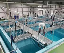 養(yǎng)殖恒溫?zé)岜? > </div>
          <div   id=